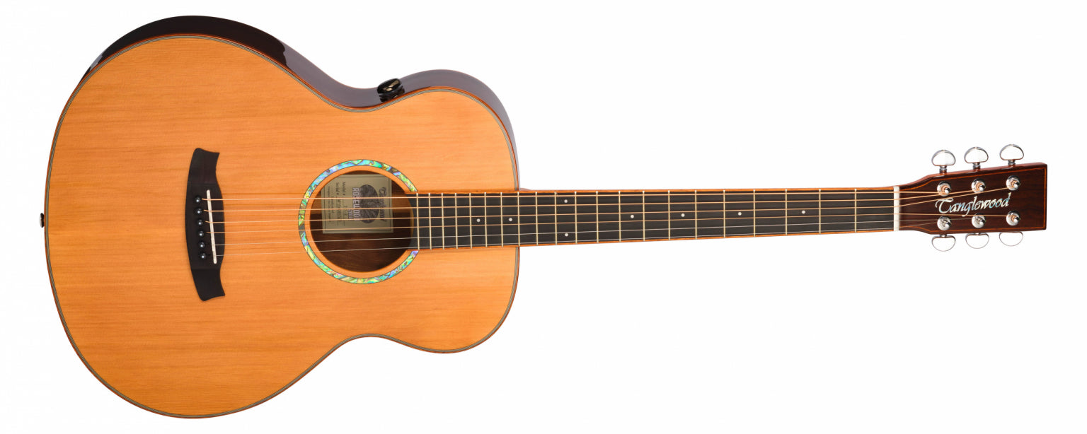 Tanglewood Smart Series Rosewood Acoustic Guitar TRS1E