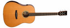 Tanglewood Smart Series Rosewood Acoustic Guitar TRS5SE
