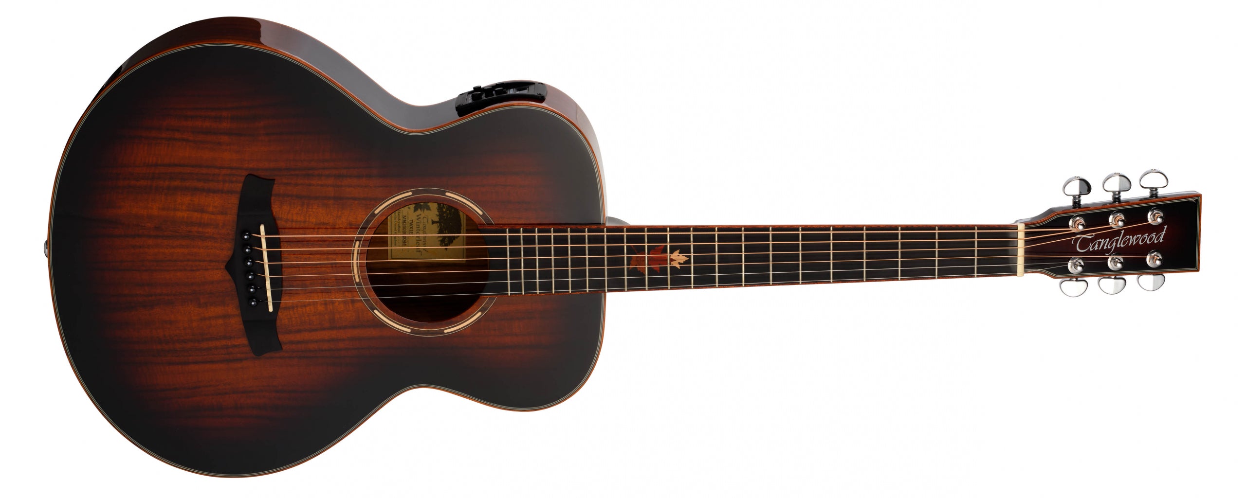 Winterleaf Exotic TWX1EK guitar