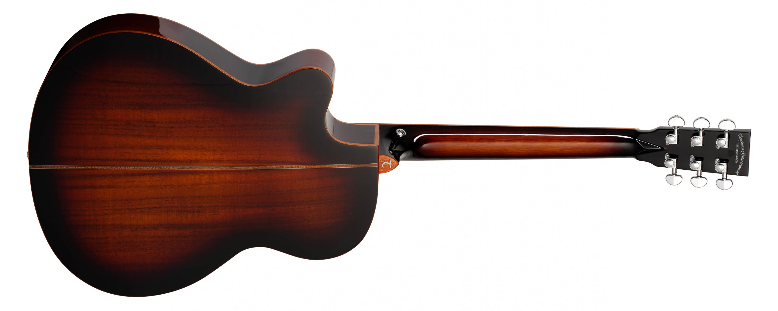 Winterleaf Exotic TWX4CEK guitar