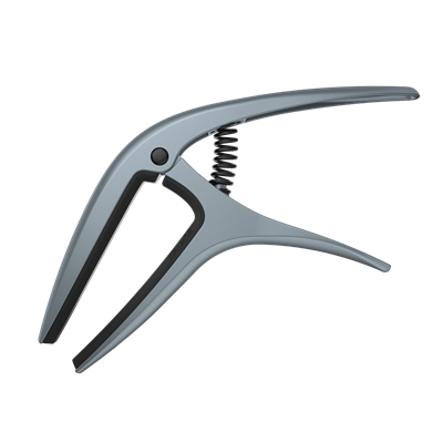 EB AXIS CAPO